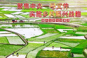 【政策解讀】農業(yè)農村部：加大對農業(yè)產業(yè)化龍頭企業(yè)和聯合體的培育支持力度